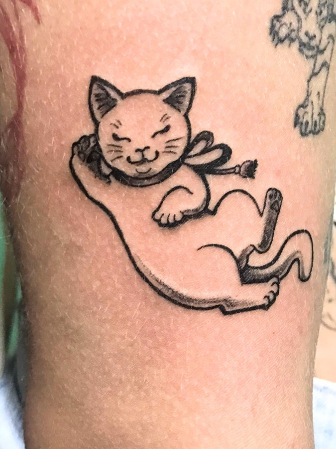 Gatinho Minimalista